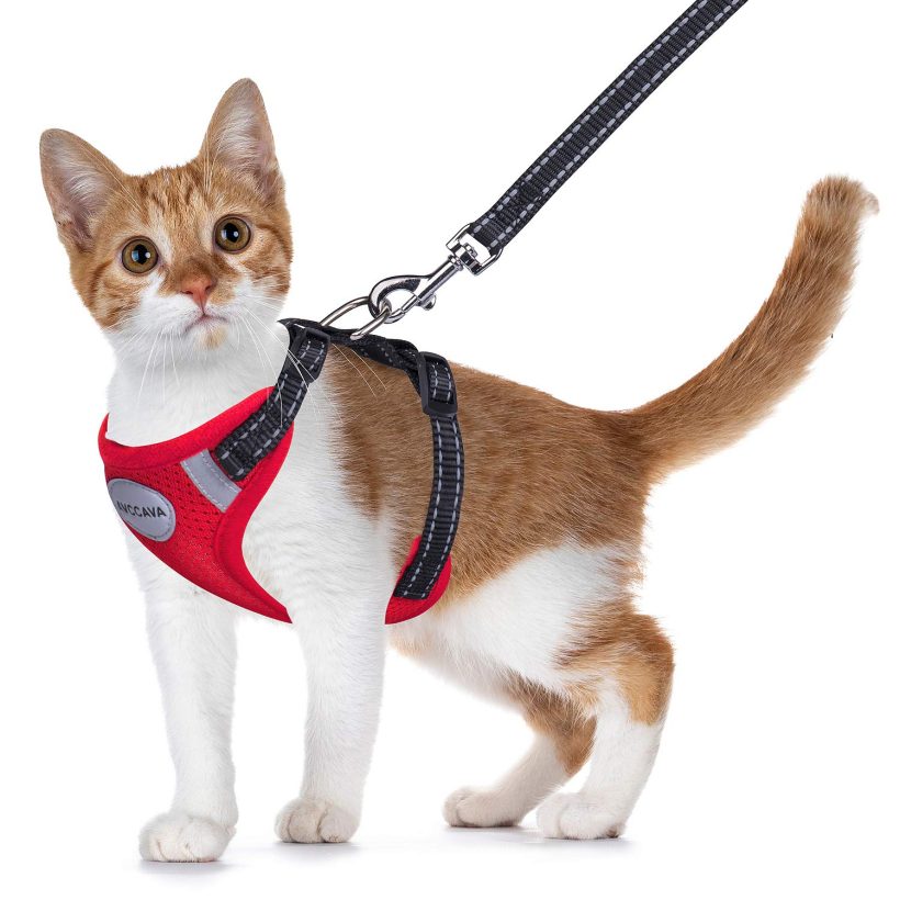 Cat Harness and Leash for Walking Soft Adjustable Vest Harnesses for Cats