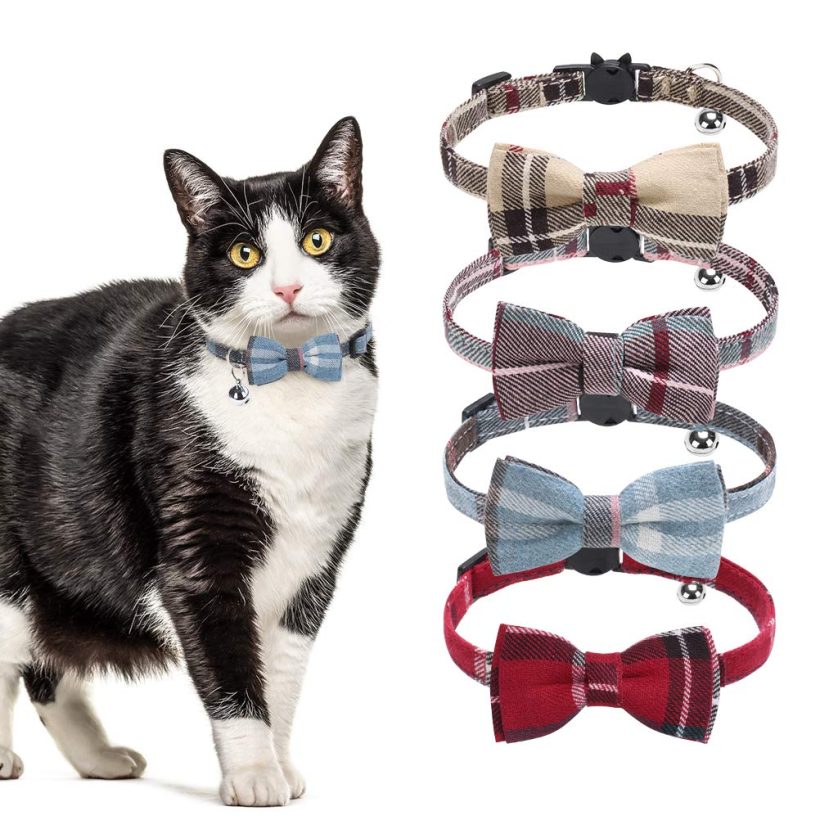 Cat Collar Breakaway with Bell Tie Collars