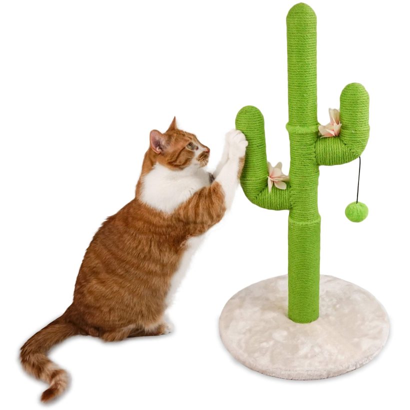 Fluffy Soul Cactus Cat Scratcher