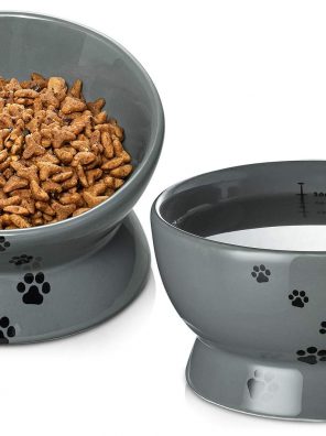 Raised Cat Food and Water Bowl Set Tilted Elevated