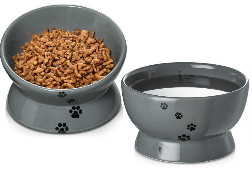 Raised Cat Food and Water Bowl Set Tilted Elevated