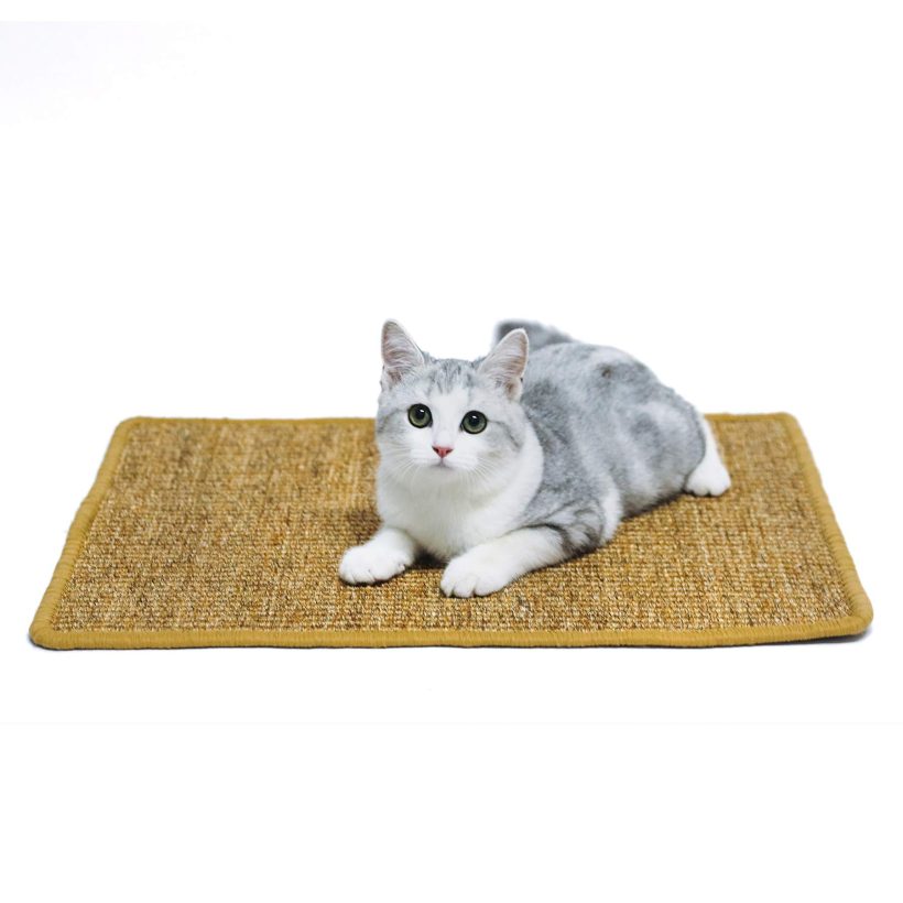 KEMULUS Flat Cat Scratcher 16" x 20" Mat Anti Slip