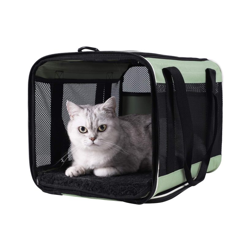 Cats Load Pet Carrier with Comfy Bed