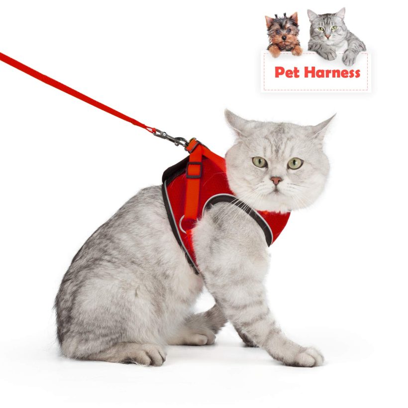 Cat Harness Escape Proof Small Cat Vest Harnesses Adjustable