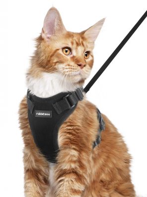 Cat Harness and Leash Set for Walking Adjustable Easy Control