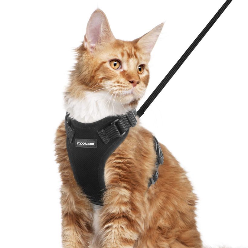 Cat Harness and Leash Set for Walking Adjustable Easy Control