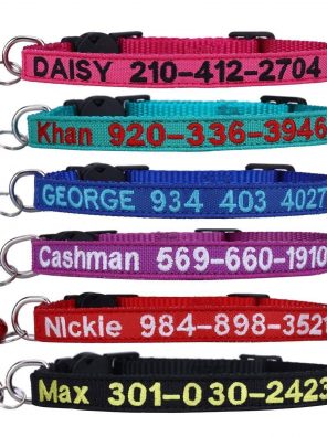 Personalized Embroidered Nylon Cat Collar