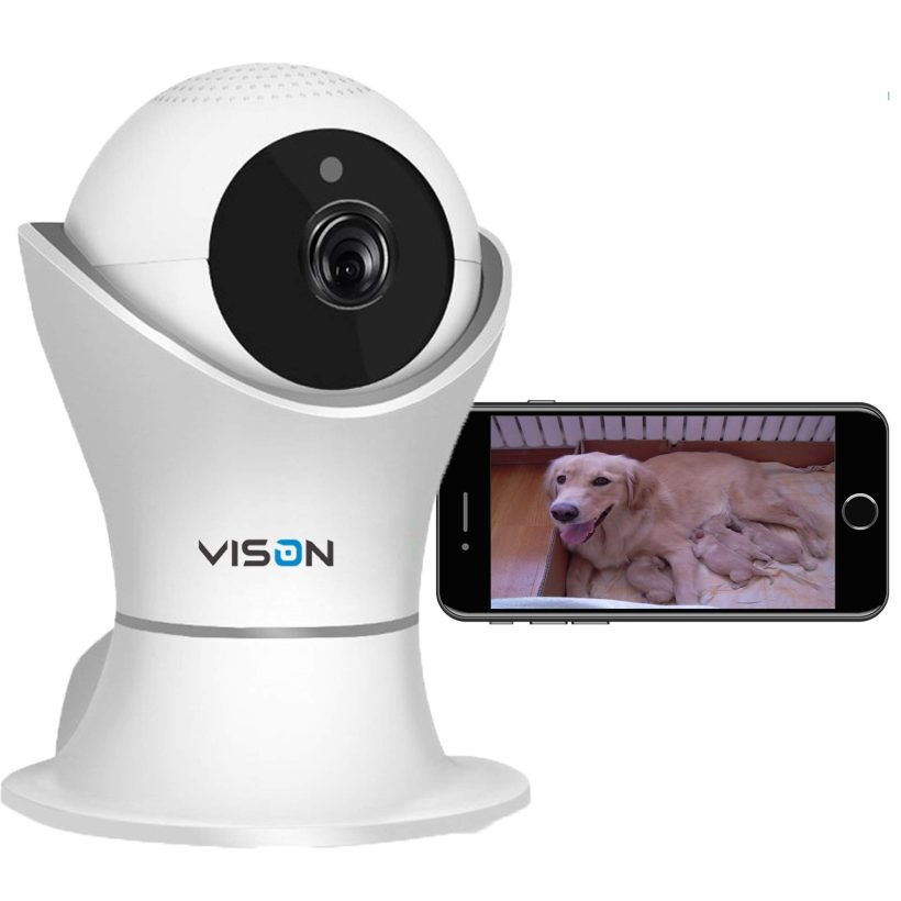 Catv Pet Camera Night Vision Motion Detection