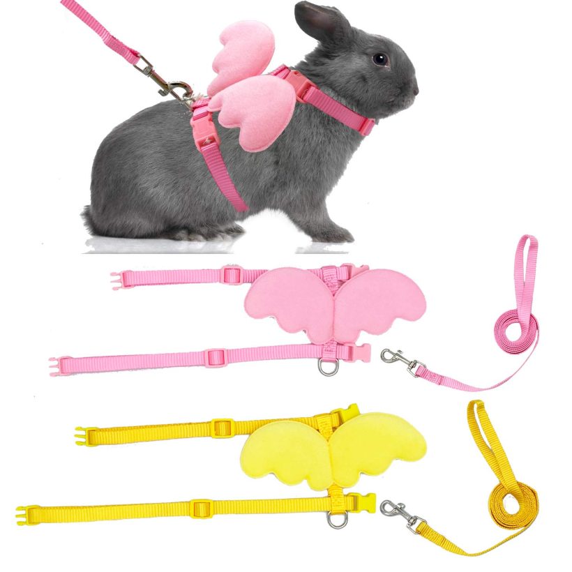 Rabbit Adjustable Harness with Leash - Set of 2 for Safe Outdoor Adventures with Small Pets