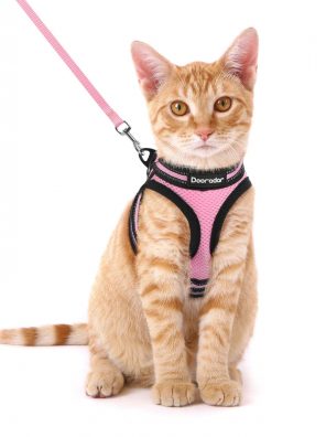 Cat Leash and Harness Set Escape Proof