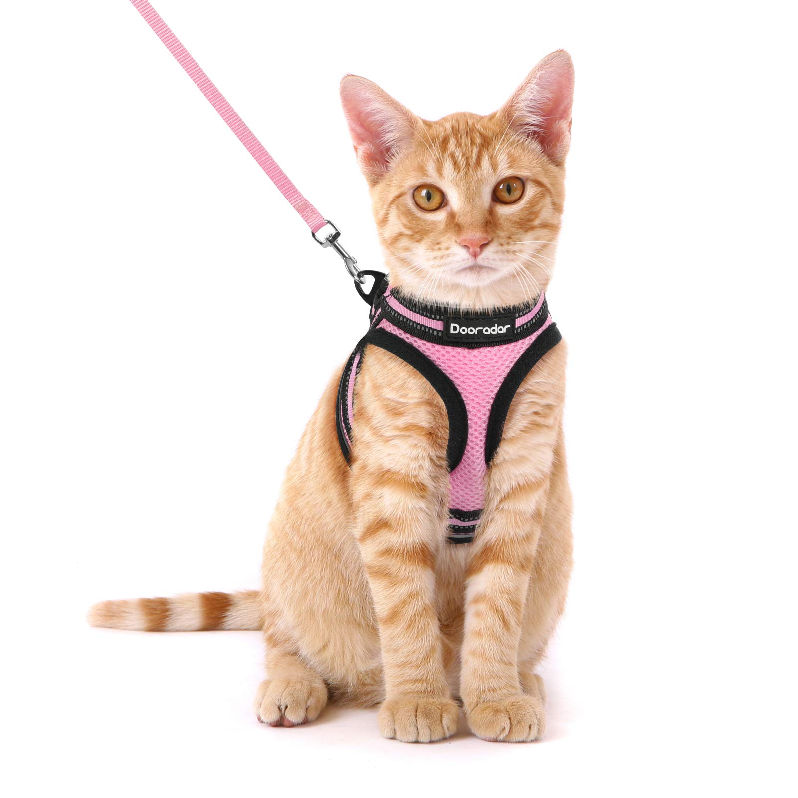 Cat Leash and Harness Set Escape Proof