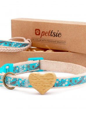 Cat Collar Breakaway Safety with Heart and Friendship Bracelet