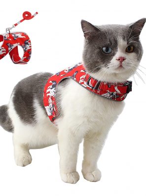 Cat Harness and Leash Innovative Anti-Lost Cards