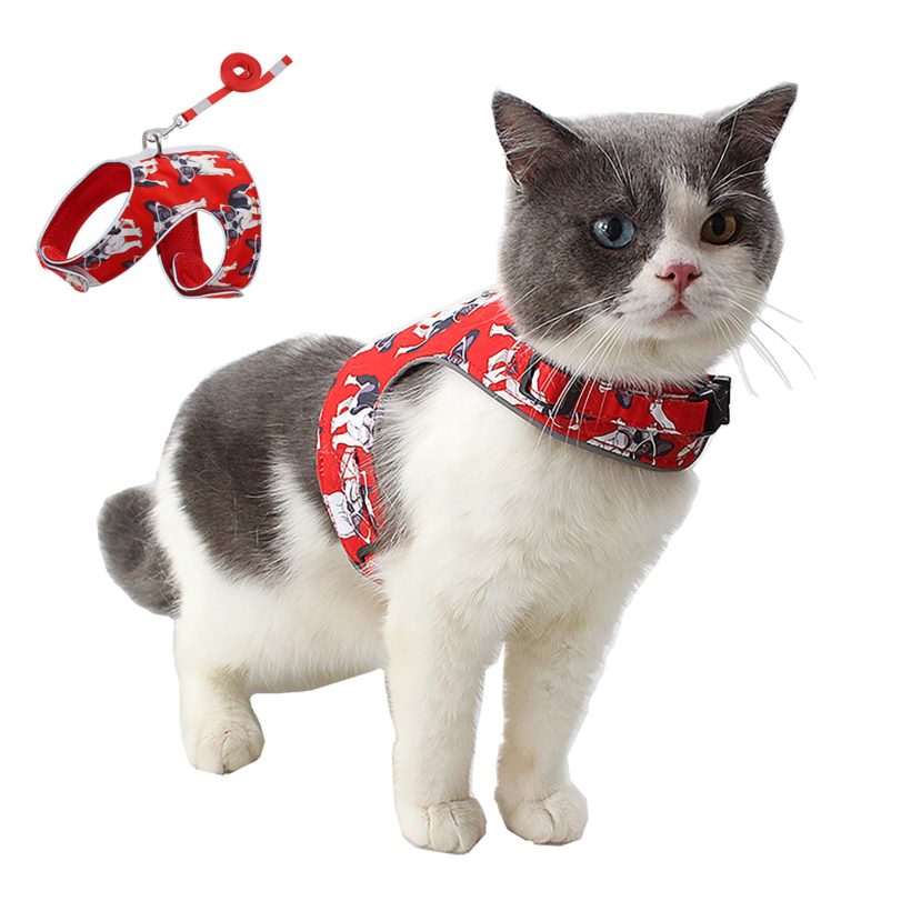 Cat Harness and Leash Innovative Anti-Lost Cards