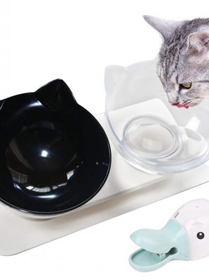 Cat Food and Water Bowls Elevated Cat Bowls Double