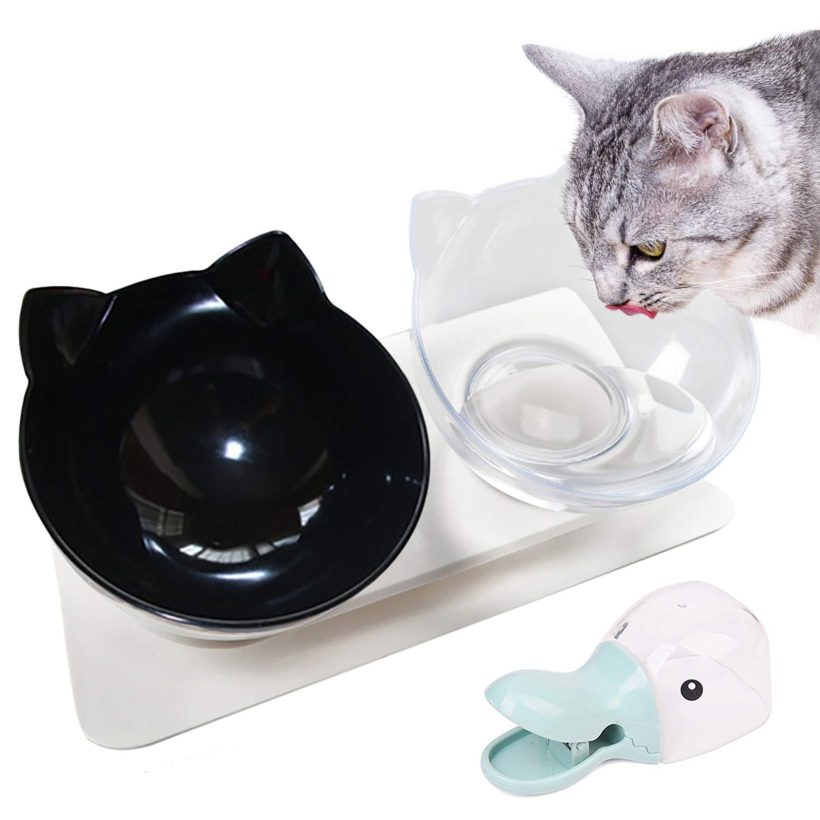 Cat Food and Water Bowls Elevated Cat Bowls Double