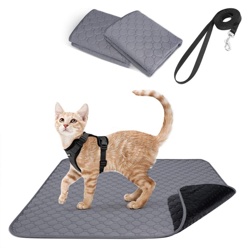 rabbitgoo Cat Harness and Leash, Dog Potty Training Pee Pads