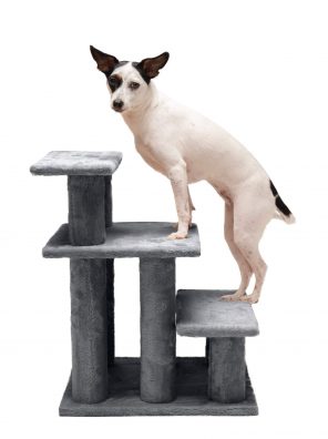Furhaven Pet Stairs - Steady Paws Easy Multi-Step