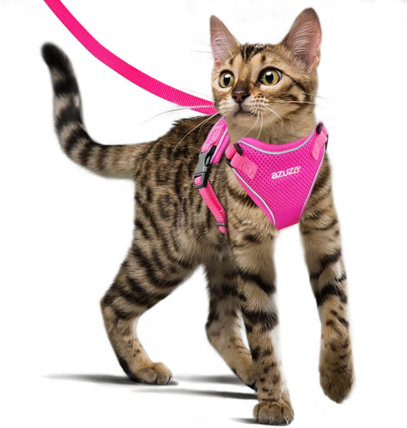 azuza Cat Harness and Leash for Walking Escape