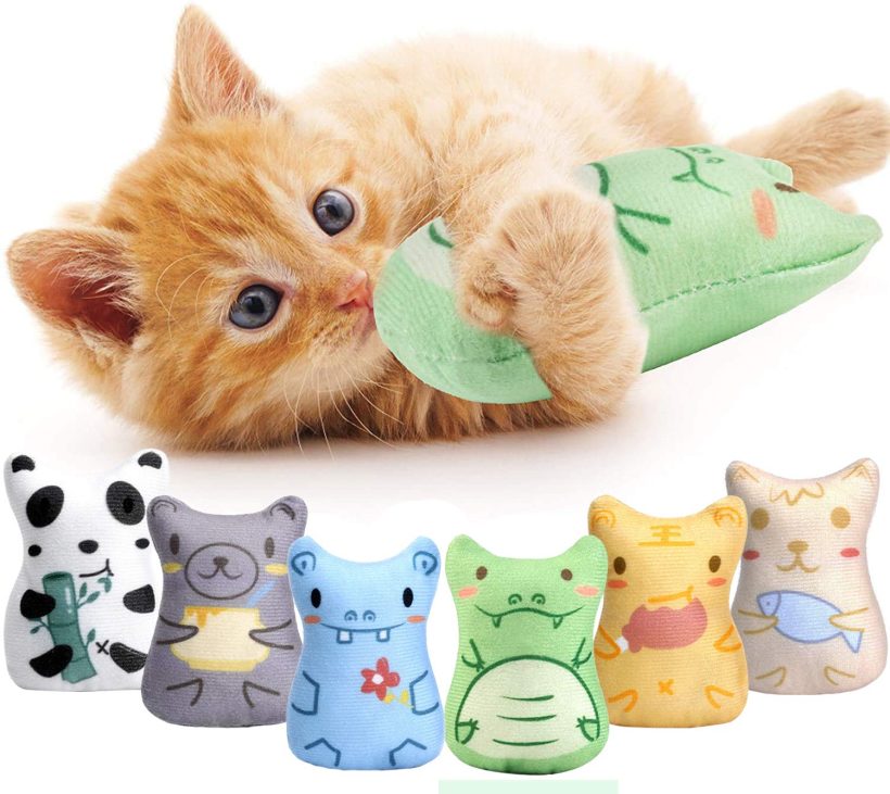 Catnip Toys for Indoor Cats Cat Chew Toy