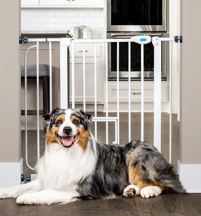 Carlson Extra Wide Walk Through Pet Gate with Small Pet Door