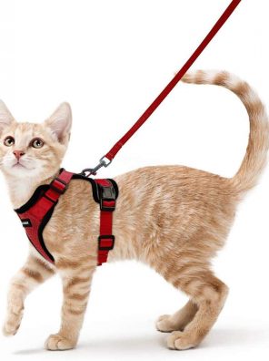 rabbitgoo Cat Harness and Leash for Walking