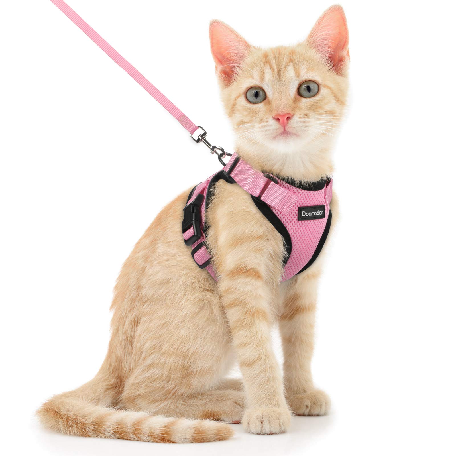 Escape Proof Safe Breathable Cat Vest Harness for Walking