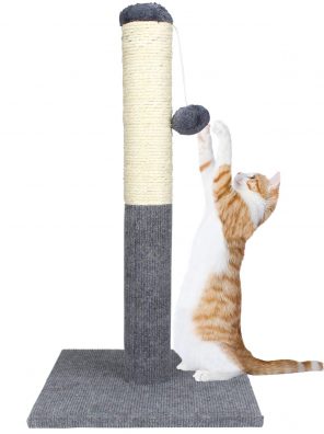 Care4U Cat Scratching Post with Sisal Pole, Toy Ball