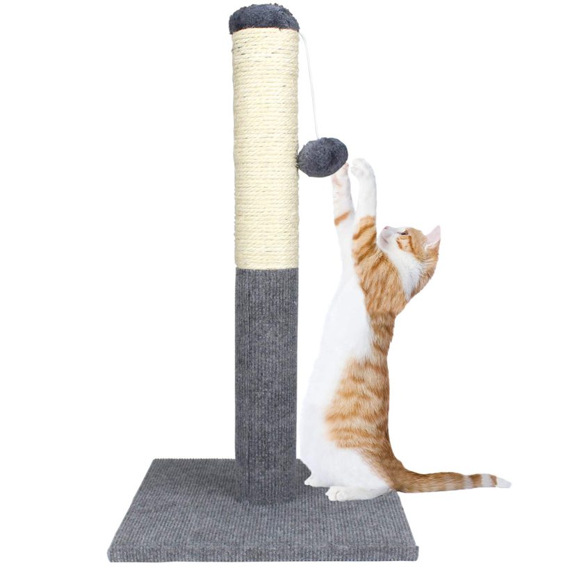 Care4U Cat Scratching Post with Sisal Pole, Toy Ball