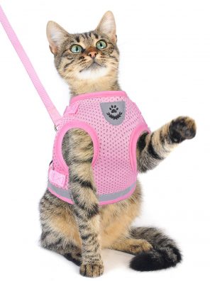 Dog and Cat Universal Harness with Leash Set