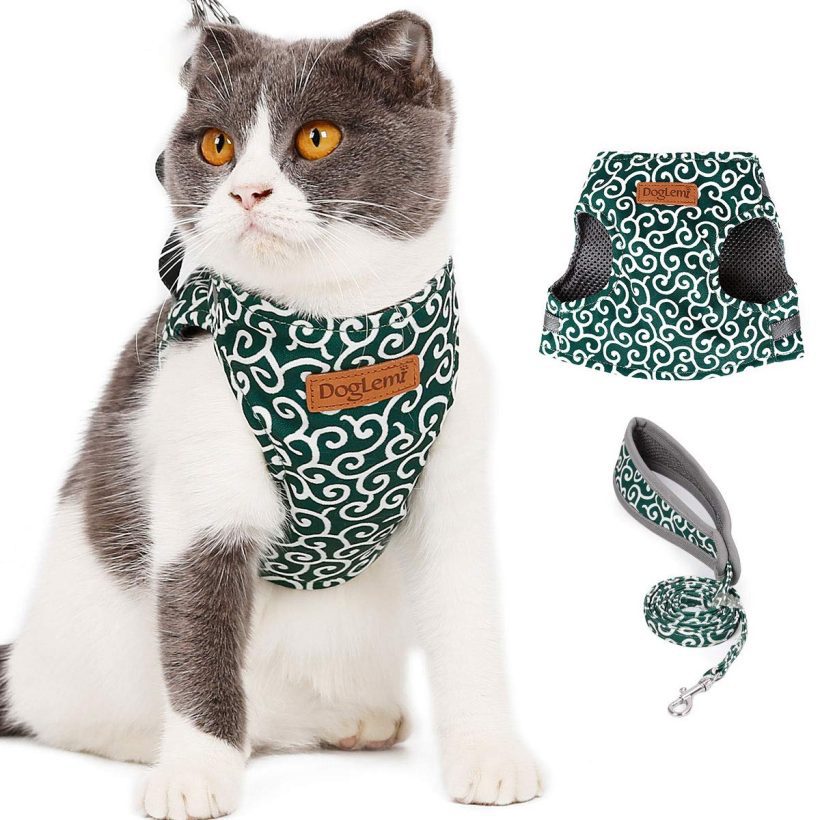 CJIBMWI Cat Harness and Leash for Walking