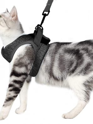 Cat Harness and Leash Set Walking 360° wrap-Around Small Cat