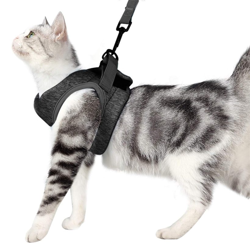 Cat Harness and Leash Set Walking 360° wrap-Around Small Cat