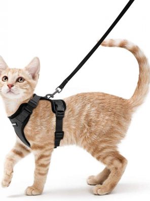 Cat Harness and Leash Vest Harnesses for Cats