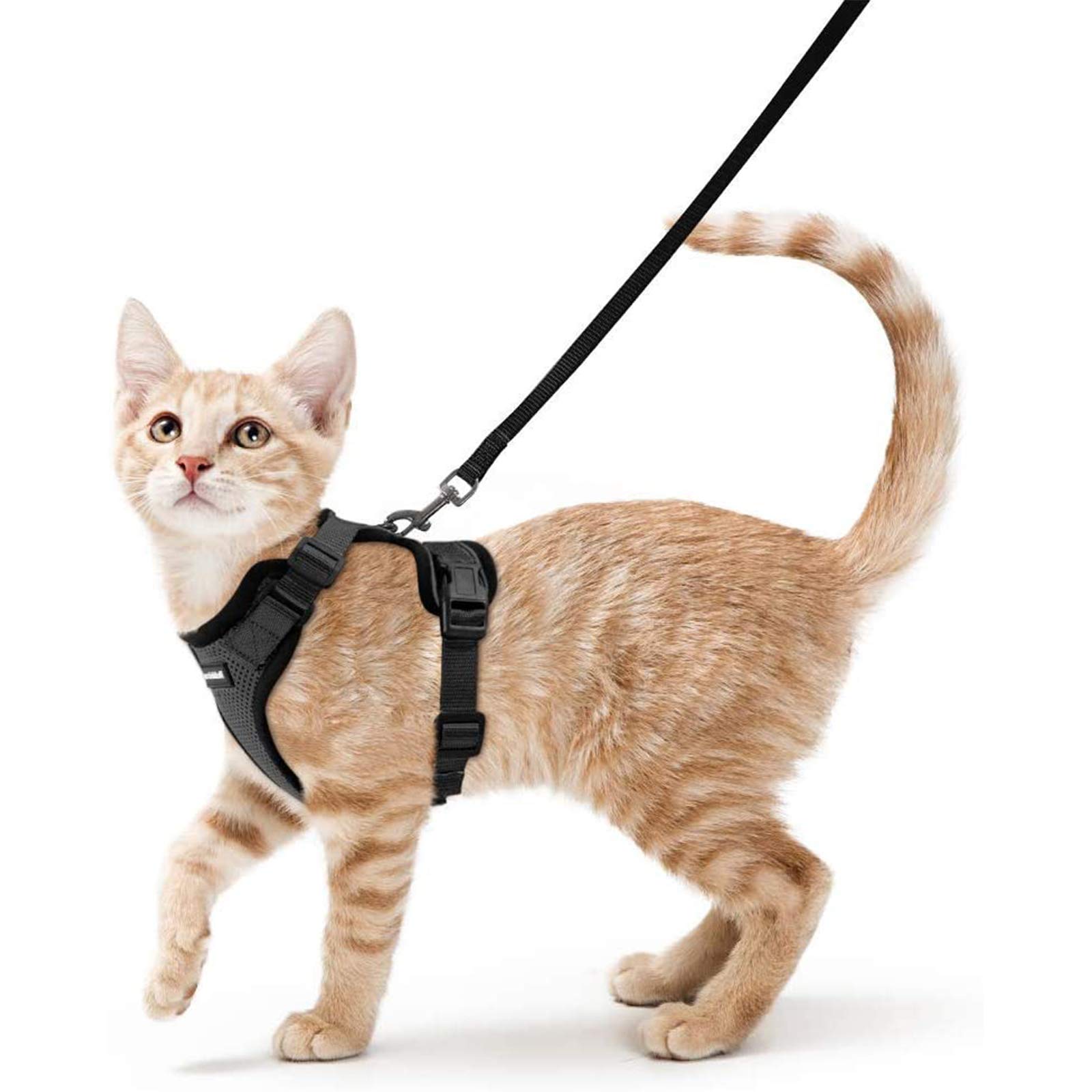 Cat Harness and Leash Vest Harnesses for Cats