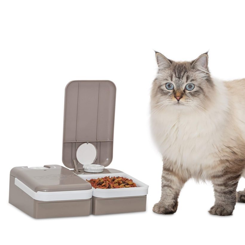 PetSafe Automatic 2 Meal Pet Feeder