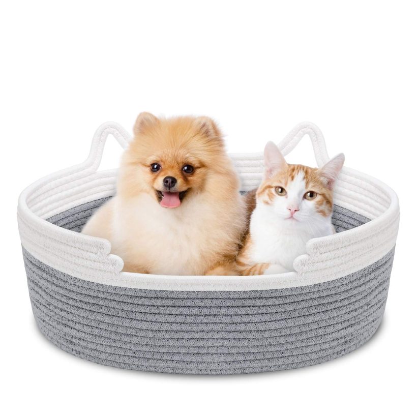 Zannaki Small Cute Cat Bed with Soft Cushion