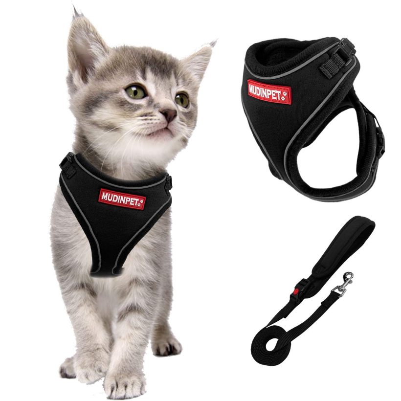 Cat Harness and Leash for Walking Escape Proof