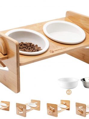 BINGBING Raised Pet Bowl for Cats and Small Dogs