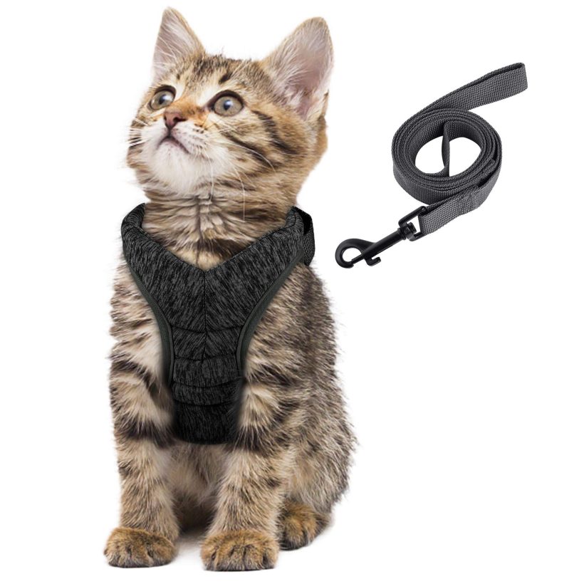 Simpeak Pet Cat Leash and Harness for Walking