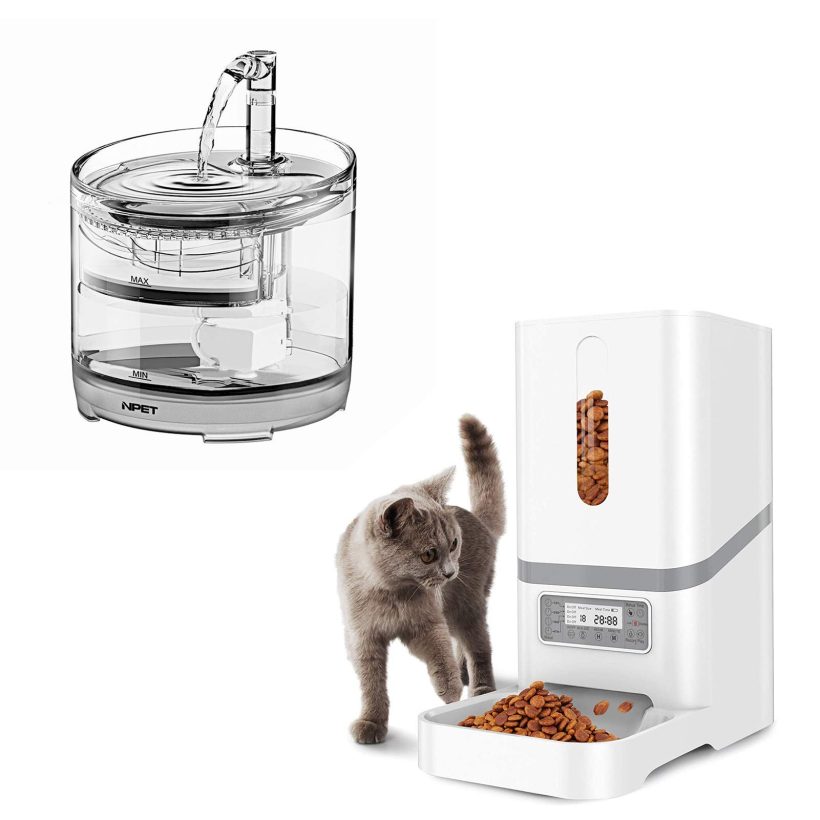 NPET 6L Automatic Cat Feeder, Clear Cat Fountain