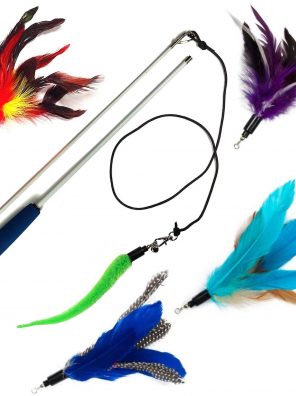 Cat Feather Teaser and Squiggly Worm Exerciser Toy