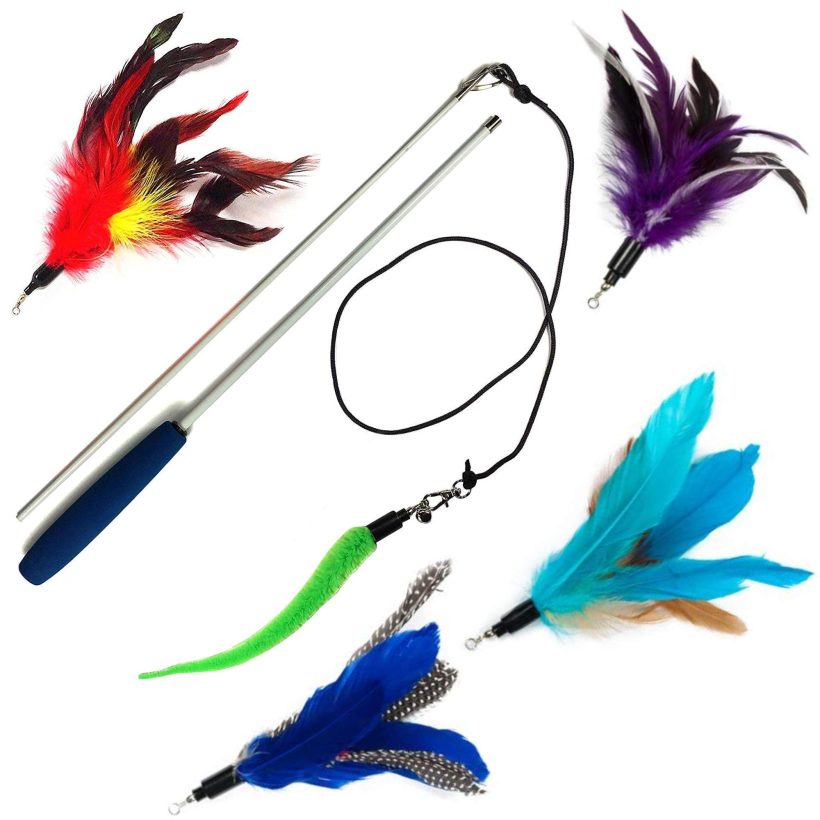 Cat Feather Teaser and Squiggly Worm Exerciser Toy