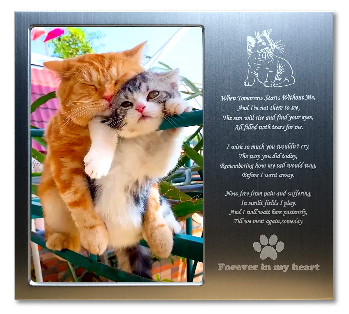 JOEZITON Cat Memorial Gift (Opts) Personalized Metal