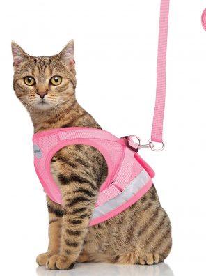 Kitten Harness with Leashes Set, Escape Proof Cat Harness