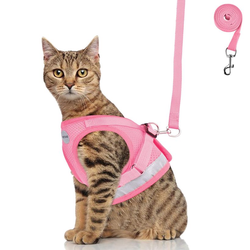 Kitten Harness with Leashes Set, Escape Proof Cat Harness