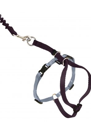 Cats Kitty Harness and Bungee Leash