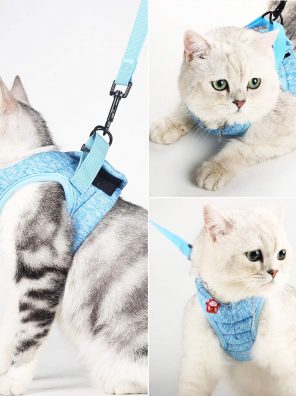 Cat Harnesses Escape-Proof Leash for Walking