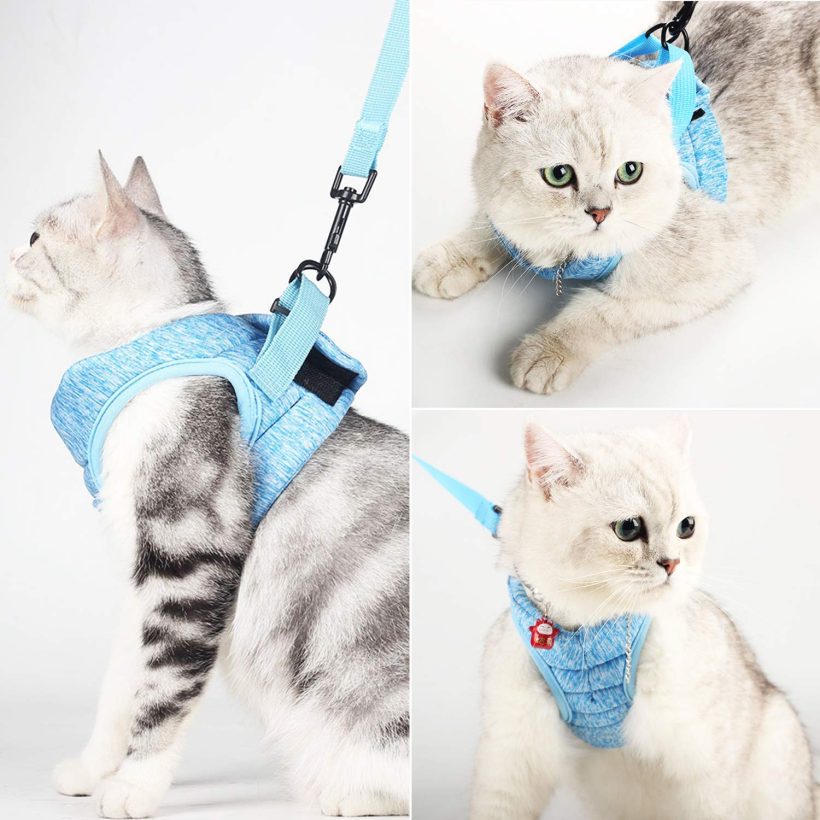 Cat Harnesses Escape-Proof Leash for Walking