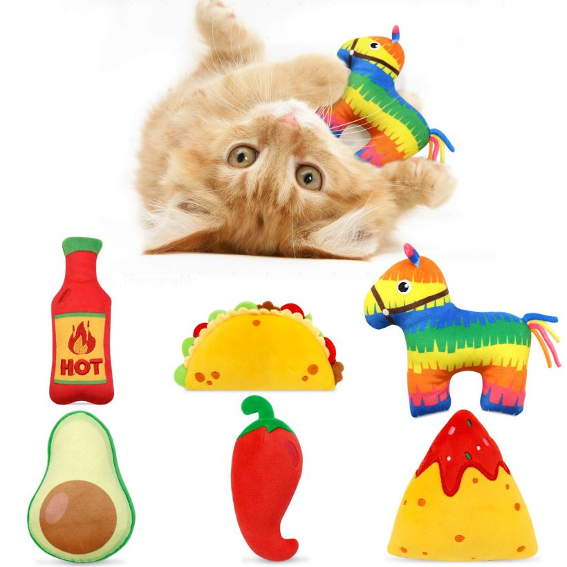 Catnip Toys Dental Health Cat Toys Interactive Cat Toys for Indoor